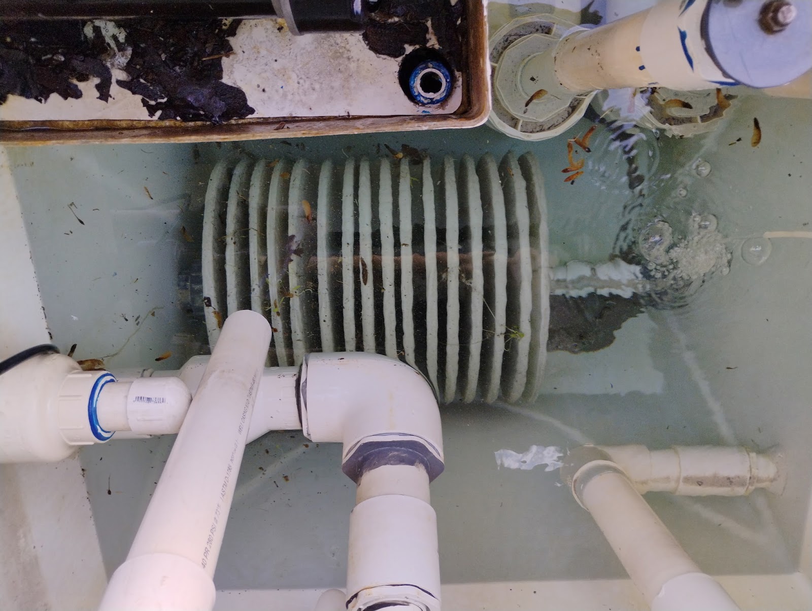 Weekly Pool Cleaning photo 3
