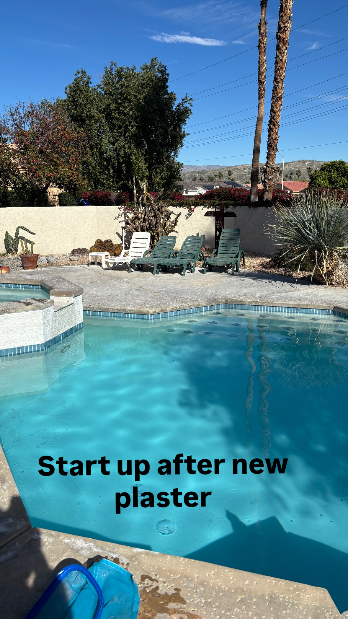 Pools We Service photo 5