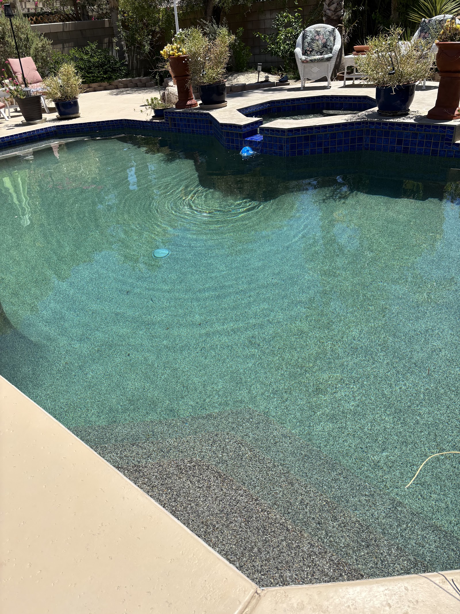 Pools We Service photo 6
