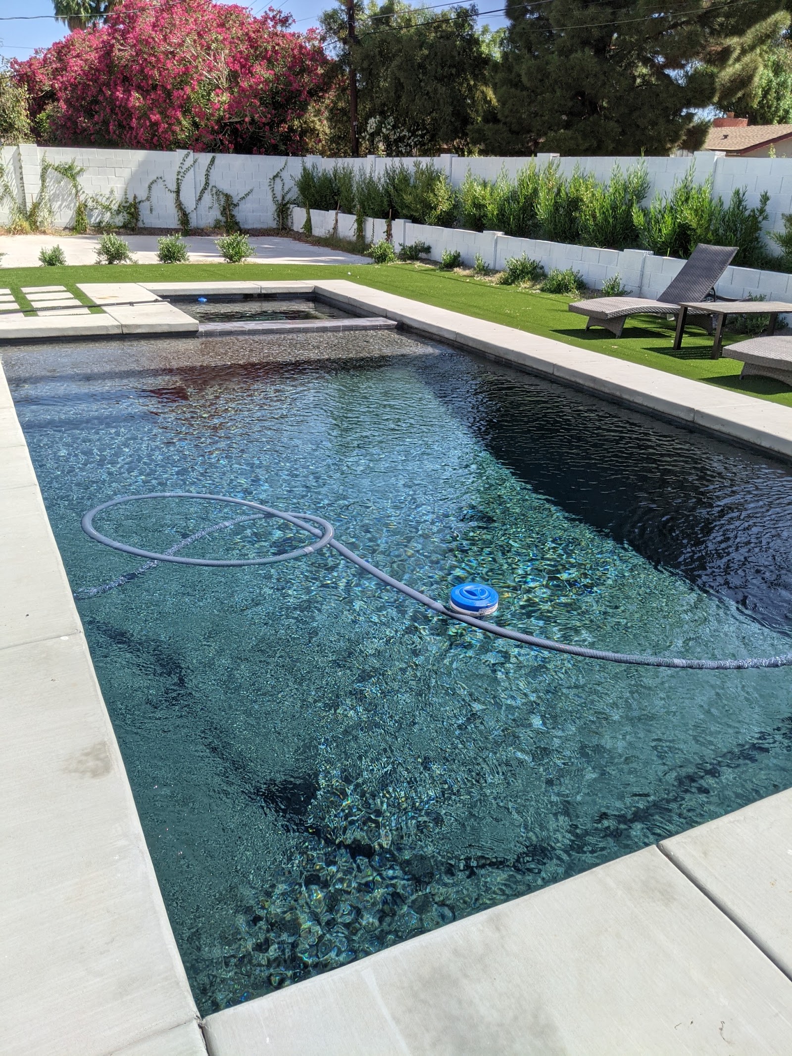 Weekly Pool Cleaning photo 3