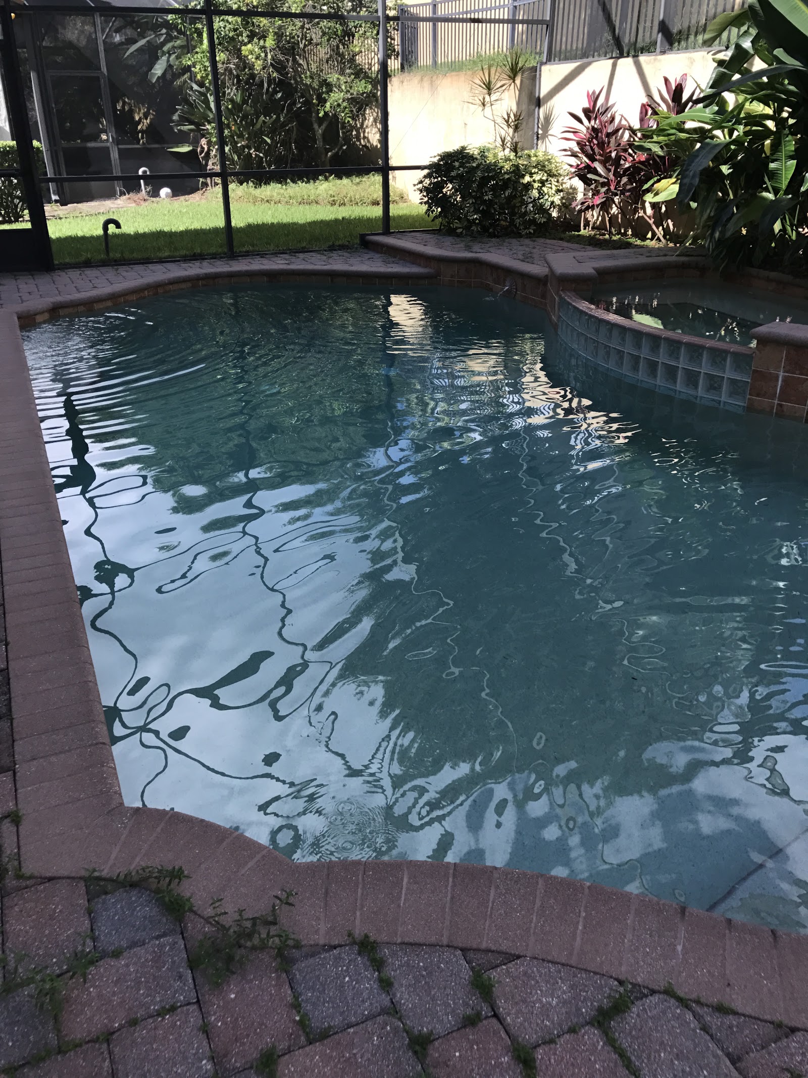 Pools We Service photo 6