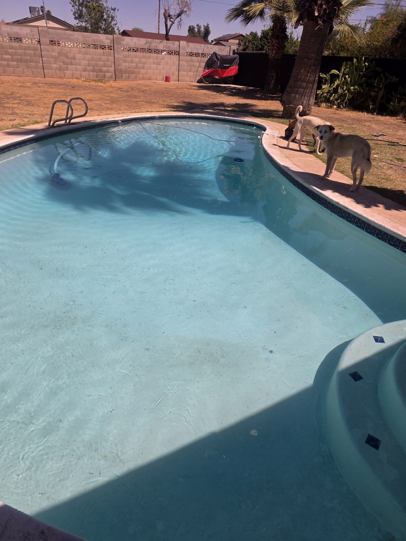 Pools We Service photo 5