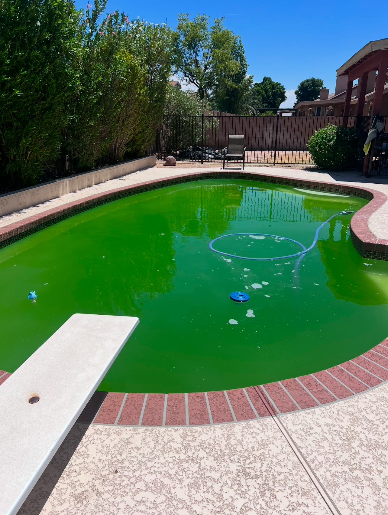 Weekly Pool Cleaning photo 5