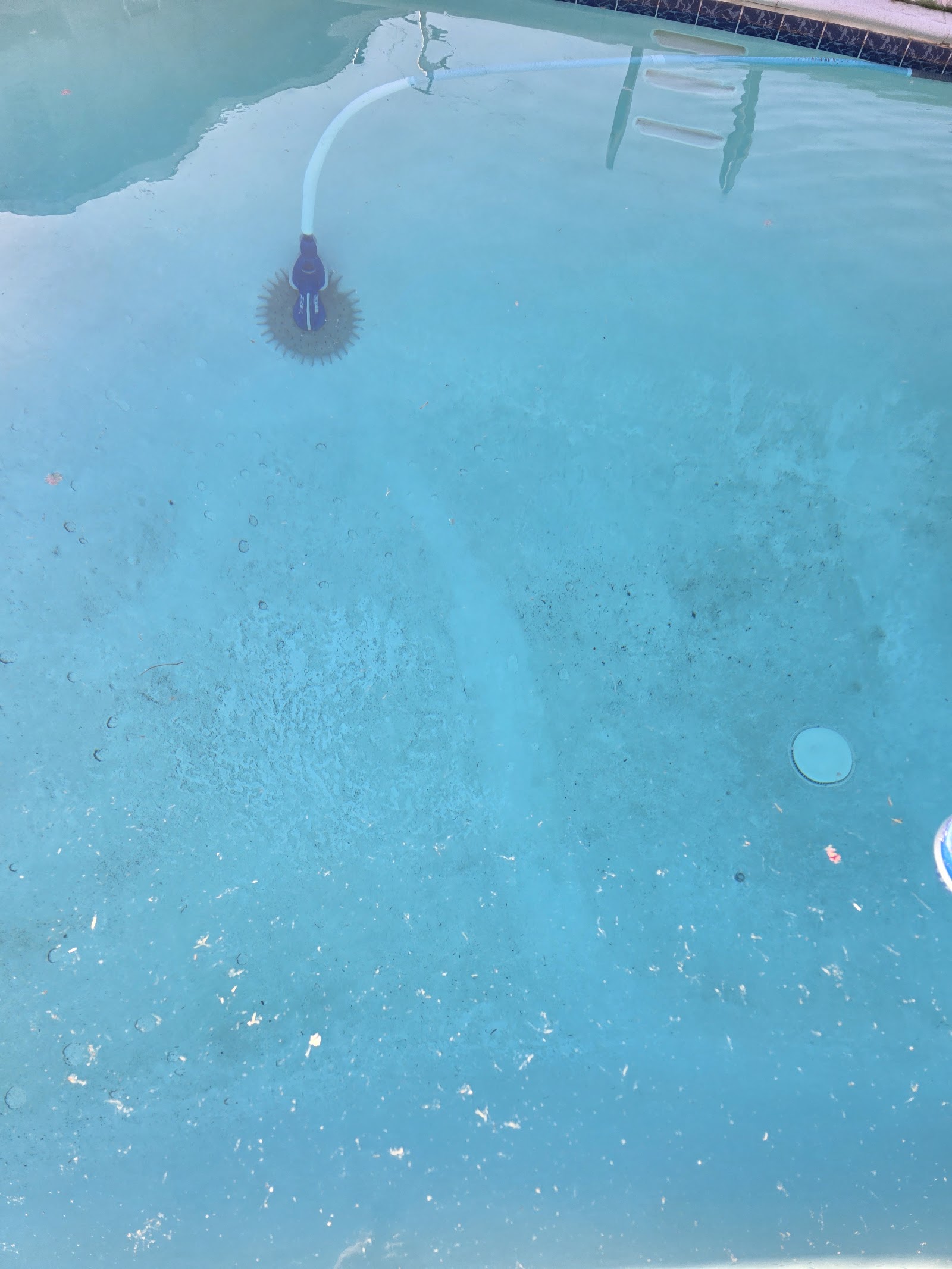 Pools We Service photo 3