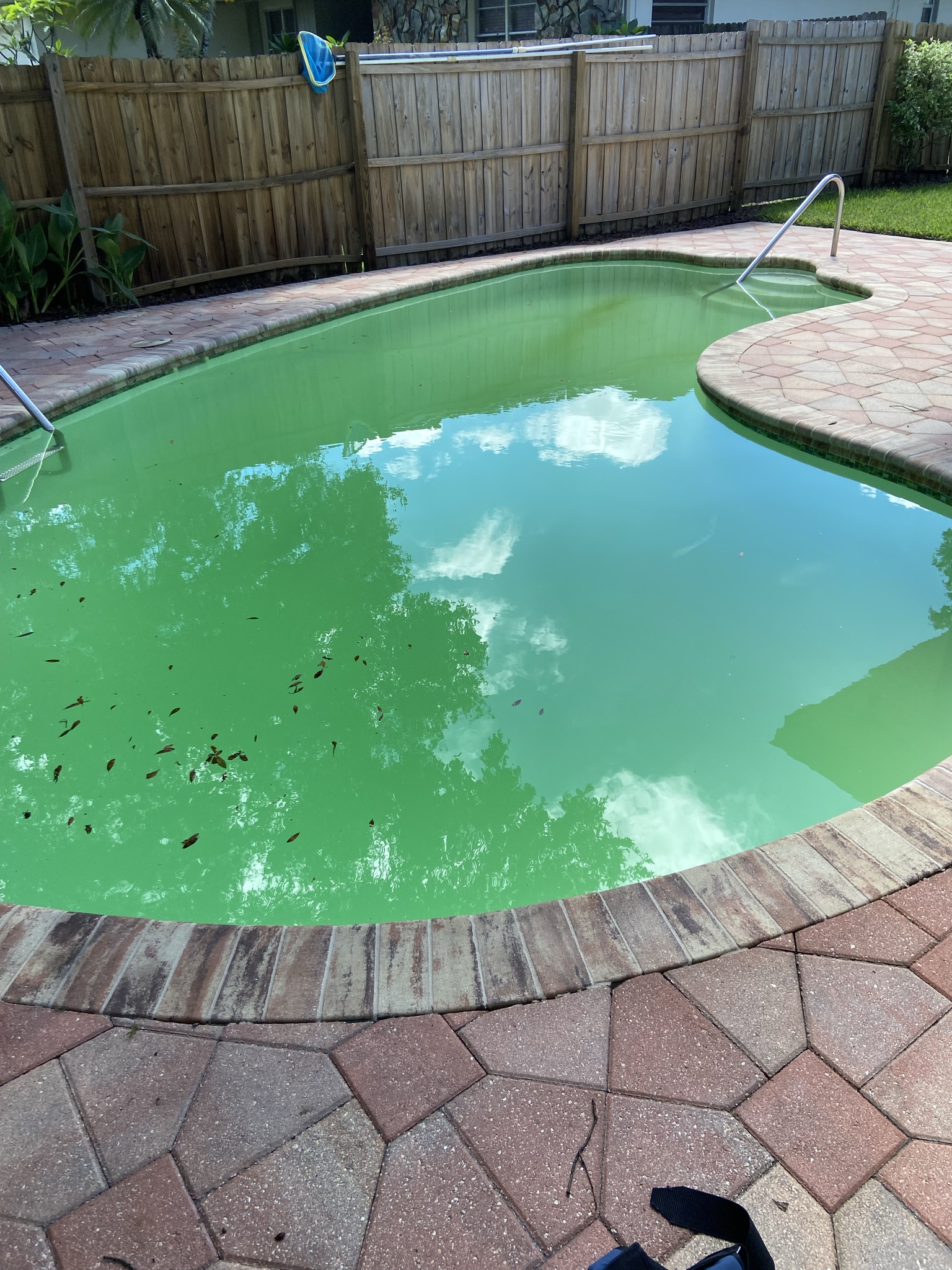 Pools We Service photo 4