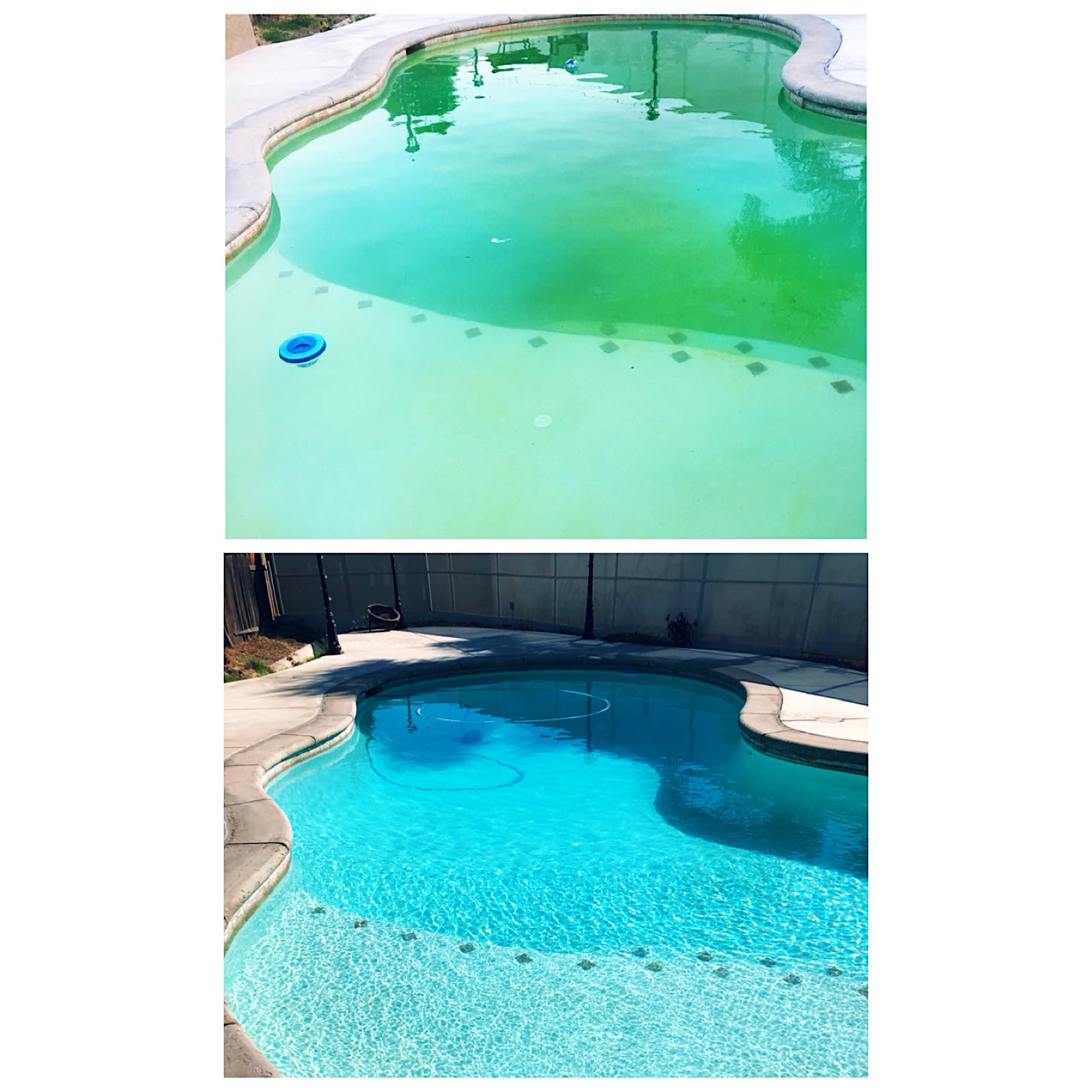 Pools We Service photo 5