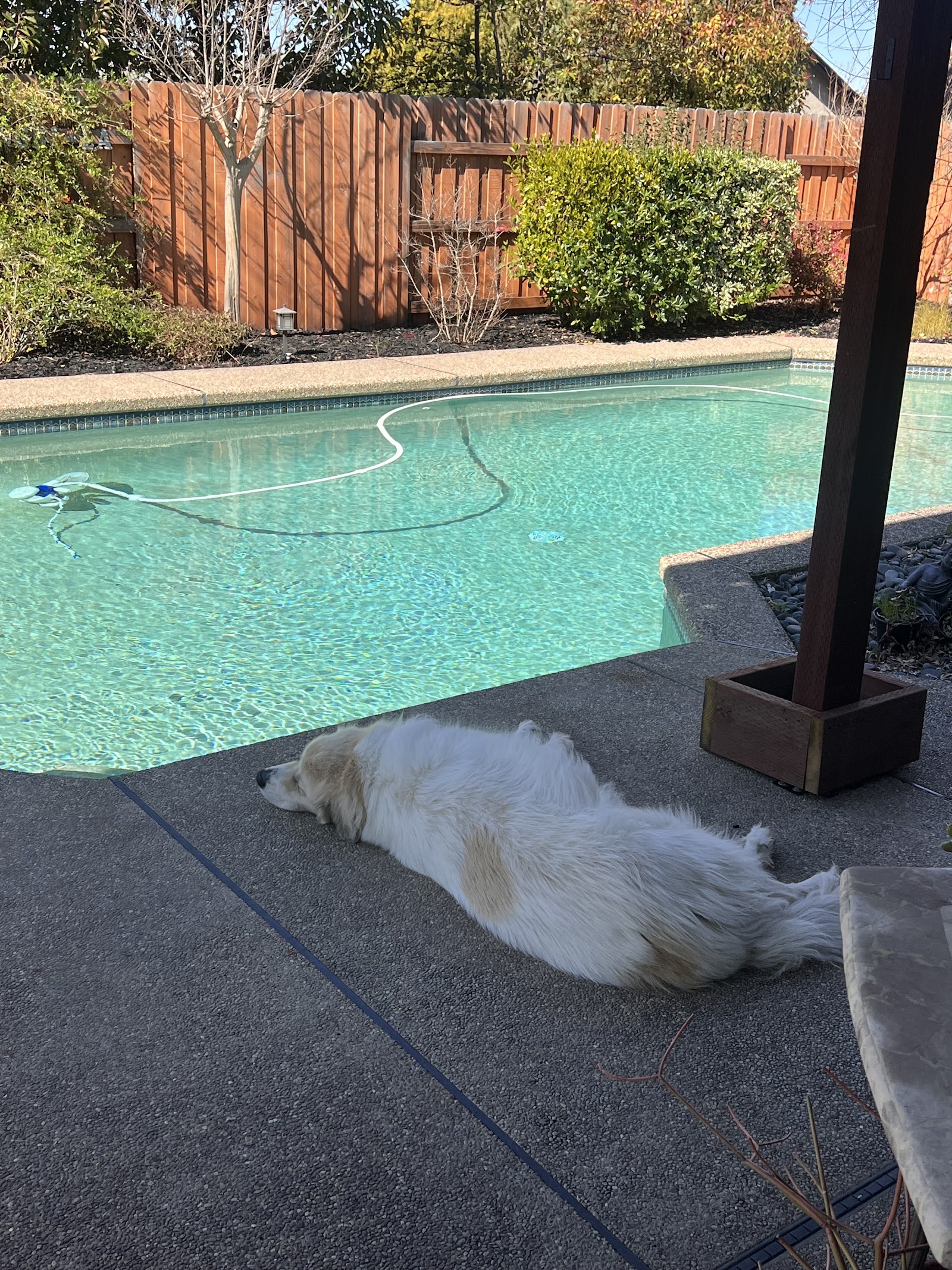 Pools We Service photo 6